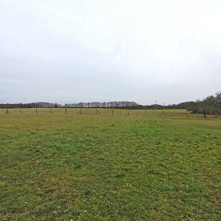 Ferienwohnungen Wredenhagen See 10860 Luaran gambar